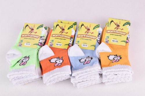 Шкарпетки дитячі з малюнком "Житомир" бавовна (Арт. OAM339) | 12 пар