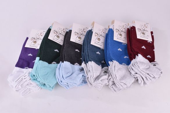 Шкарпетки жіночі "ЖИТОМИР" ХЛОПОК (Арт. OAM120/1) | 12 пар