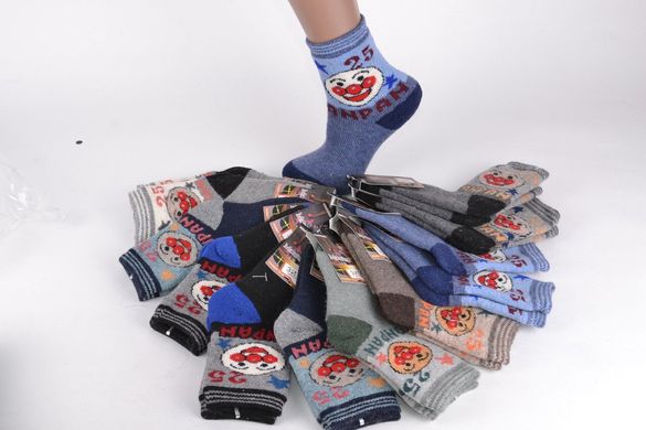 Дитячі вовняні шкарпетки на хлопчика р.19-26 (C720-2/M) | 12 пар