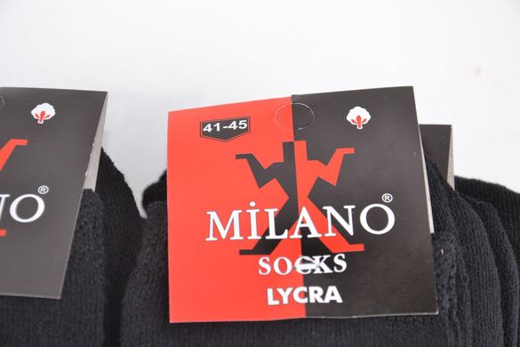 Чоловічі Махрові шкарпетки "Milano" бавовна (арт. PTM101) | 12 пар