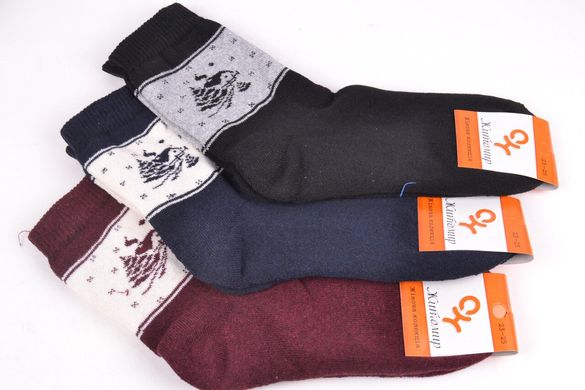 Жіночі шкарпетки "ЖИТОМИР" МАХРА (Арт. OLM3639/14) | 12 пар