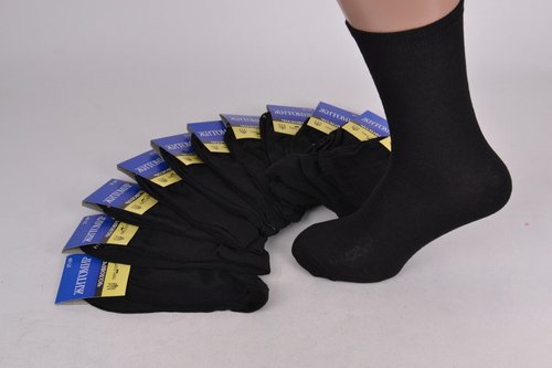 Чоловічі шкарпетки "ЖИТОМИР" (PT014/4) | 12 пар