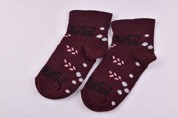 Шкарпетки дитячі на дівчинку "Житомир" бавовна (Арт. OAM363/12-14) | 12 пар
