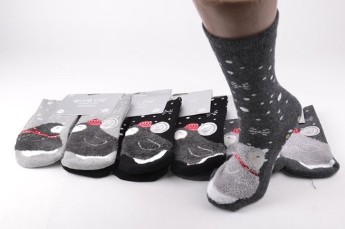 Жіночі шкарпетки з малюнком МАХРА Cotton (Арт. NPVX85/38-41) | 5 пар