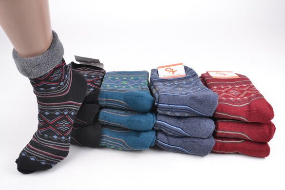 Жіночі шкарпетки "ЖИТОМИР" МАХРА (Арт. OLM3639/12) | 12 пар