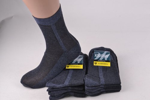 Шкарпетки чоловічі "Житомир" ХЛОПОК (Арт. Y025/27) | 10 пар