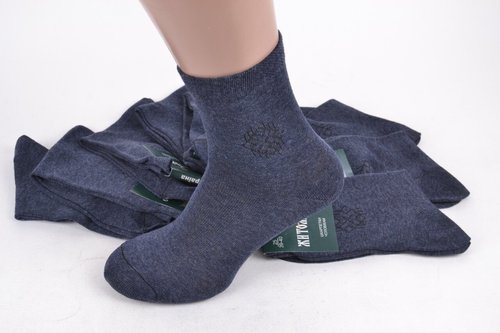 Чоловічі шкарпетки "Житомир" Синій р.41-42 (Y111/27) | 10 пар