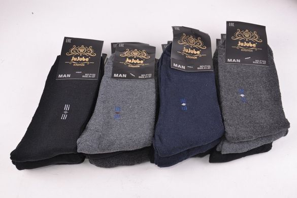 Шкарпетки чоловічі МАХРА нар. 41-47 (F123-4) | 12 пар