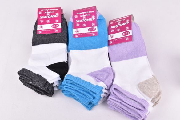 Жіночі шкарпетки "Житомир" ХЛОПОК (Арт. OK202) | 12 пар