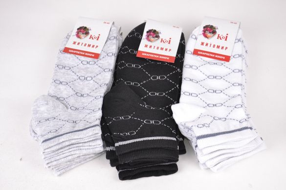Жіночі Бавовняні шкарпетки "ЖИТОМИР" (OAM299/1) | 12 пар