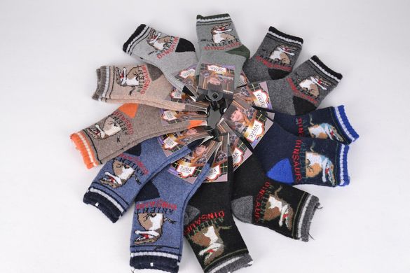Дитячі шкарпетки на хлопчика р.11-18 (TKC720-1/S) | 12 пар