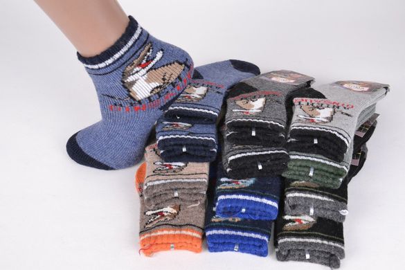 Дитячі шкарпетки на хлопчика р.11-18 (TKC720-1/S) | 12 пар