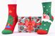 Шкарпетки жіночі "Merry Christmas" у подарунковій упаковці АНГОРА (Арт. Y108/1) | 1 компл.