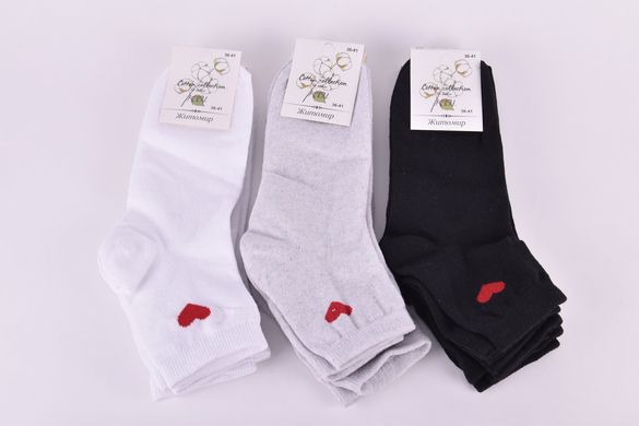 Шкарпетки жіночі "Житомир" бавовна (Арт. OAM385) | 12 пар
