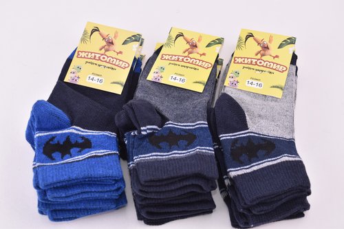 Шкарпетки дитячі на хлопчика "Житомир" бавовна (Арт. OAM370/14-16) | 12 пар
