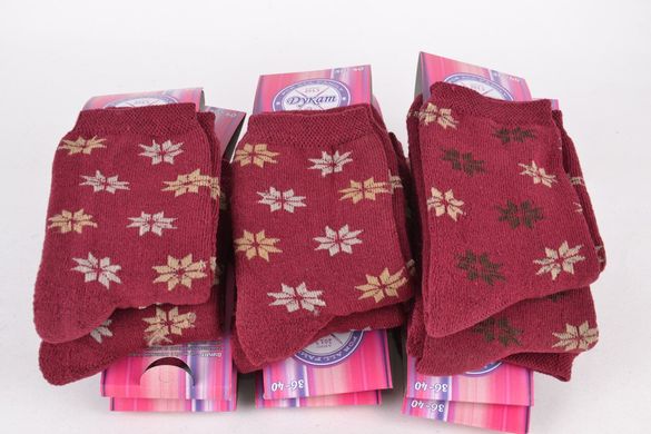 Шкарпетки жіночі бавовняні "ДУКАТ" (арт. PTM051) | 12 пар