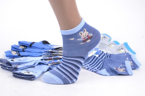 Дитячі шкарпетки на хлопчика р.22-24 (LC235/S) | 12 пар