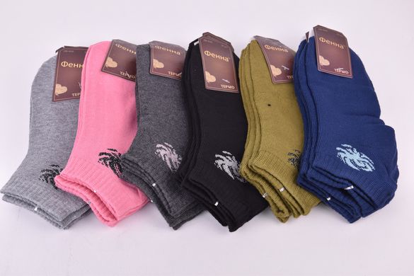 Шкарпетки жіночі занижені "Фенна" МАХРА бавовни (Арт. FEB605-1) | 12 пар