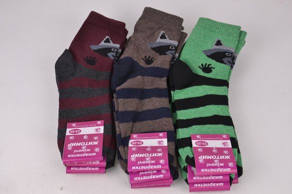 Жіночі шкарпетки "Житомир" ХЛОПОК (Арт. OK109) | 12 пар