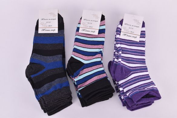 Шкарпетки жіночі "Житомир" бавовна (Арт. OAM140) | 12 пар
