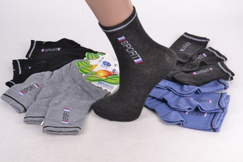 Дитячі шкарпетки на хлопчика (WC238/L) | 12 пар