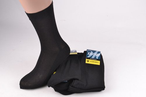 Шкарпетки чоловічі "Житомир" ХЛОПОК (Арт. Y1002/27) | 10 пар