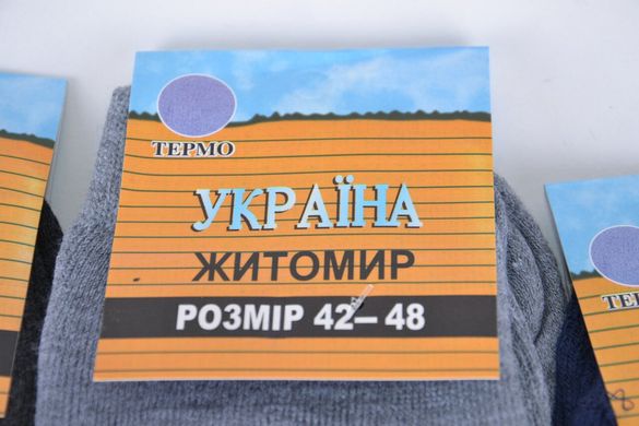 Чоловічі махрові шкарпетки "Житомир" 42-48 (Арт.B807) | 12 пар