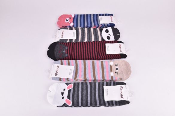 Шкарпетки жіночі "Фенна" ХЛОПОК (Арт. FEB08) | 10 пар