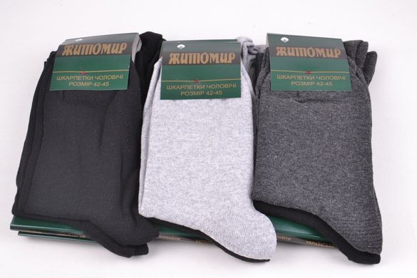 Шкарпетки чоловічі "Житомир" р. 42-45 (Арт.Y001/A) | 12 пар