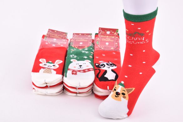 Шкарпетки дитячі Merry Christmas "AURA" COTTON (Арт. SGP7821/24-27) | 5 пар