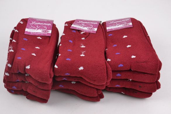 Махрові шкарпетки "Житомир" (Арт. OK054/2) | 12 пар
