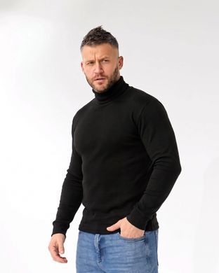 Чёрная теплая мужская водолазка хлопковая с начесом L = 46-48 p 538086614 производитель одежды Опт круг