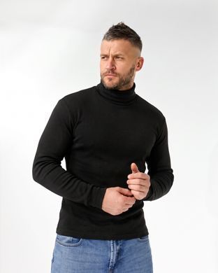 Чёрная теплая мужская водолазка хлопковая с начесом L = 46-48 p 538086614 производитель одежды Опт круг