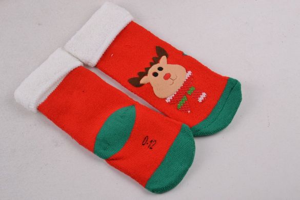 Дитячі шкарпетки МАХРУ "Cotton" (Арт. SBV67/0-12) | 5 пар