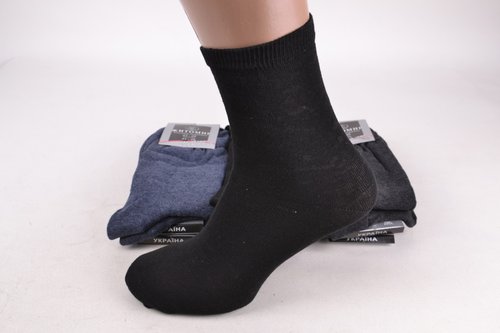 Чоловічі шкарпетки "ЖИТОМИР" (PT014/8) | 12 пар