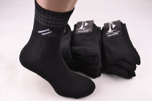 Шкарпетки чоловічі "ЖИТОМИР" Махрова стопа (Арт. OK207/25-27) | 12 пар