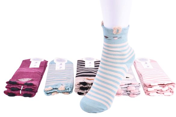 Шкарпетки жіночі "Фенна" ХЛОПОК (Арт. FEB530) | 10 пар