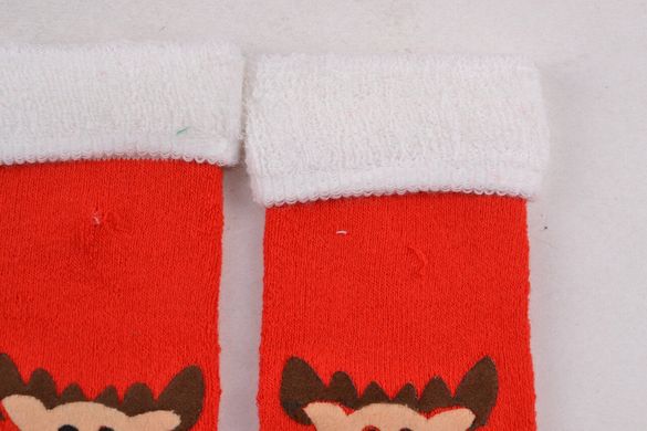 Дитячі шкарпетки Махра "Cotton" (Арт. SBV67/12-24) | 5 пар