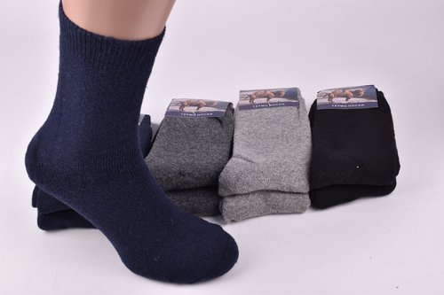 Шкарпетки чоловічі "Алія" ШЕРСТЬ (Арт. ALA609) | 12 пар