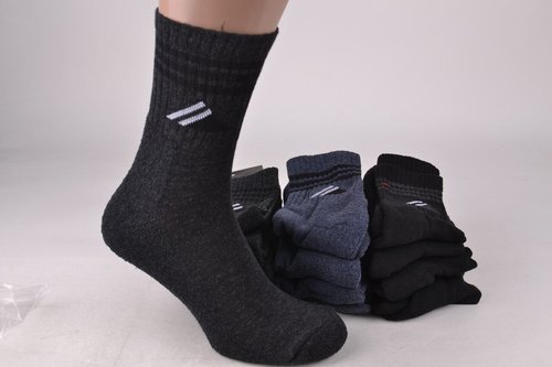 Шкарпетки чоловічі "ЖИТОМИР" Махрова стопа (Арт. OK207/1/27-29) | 12 пар