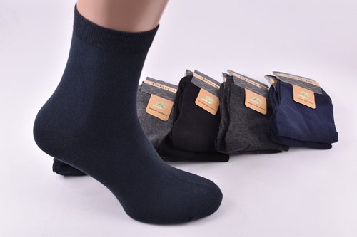 Шкарпетки чоловічі однотонні "Фенна" БАМБУК (Арт. FEA1002-2) | 10 пар