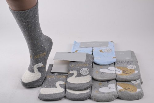 Жіночі шкарпетки з малюнком МАХРА Cotton (Арт. NPVX88/38-41) | 5 пар