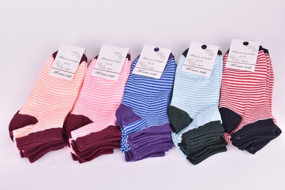 Шкарпетки жіночі "ЖИТОМИР" ХЛОПОК (Арт. OAM400) | 12 пар