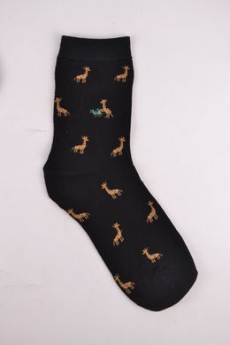 Жіночі шкарпетки з малюнком "Cotton" (Арт. NP5055) | 30 пар