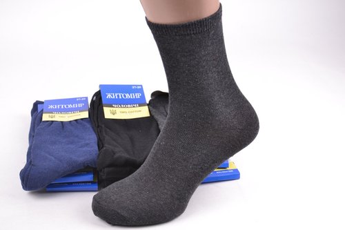 Чоловічі шкарпетки "ЖИТОМИР" (Арт. PT014/19) | 12 пар