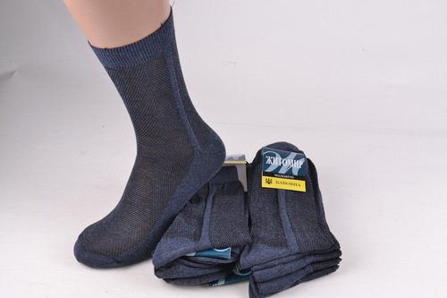 Шкарпетки чоловічі "Житомир" ХЛОПОК (Арт. Y1004/25) | 10 пар