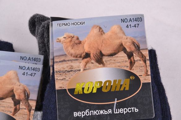 Мужские Термо носки Верблюжья ШЕРСТЬ (Арт. LKA1403) | 12 пар