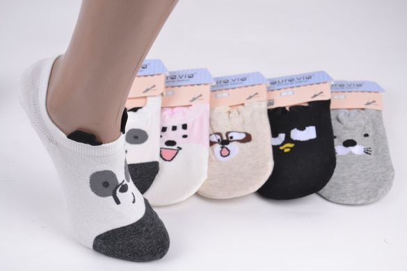 Жіночі Шкарпетки-Сліди "AURA" Cotton (Арт. NDD6217/35-38) | 5 пар