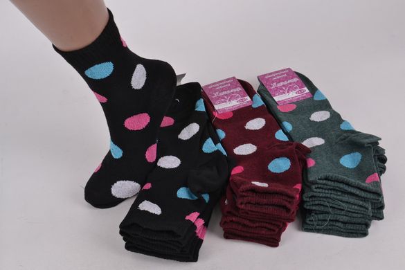 Жіночі Бавовняні шкарпетки "Житомир" (Арт. OK105) | 12 пар