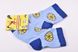 Шкарпетки дитячі з малюнком "Житомир" ХЛОПОК (Арт. OAM348/12-14) | 12 пар